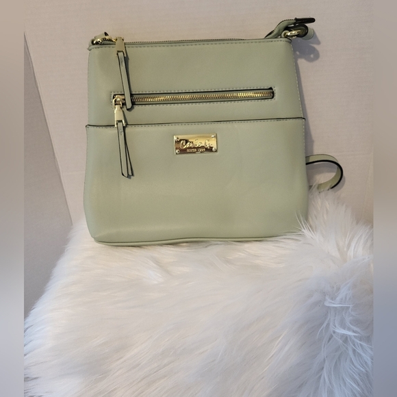 Carlo G Light Green Crossbody Bag with Gold Accents - Picture 1 of 6